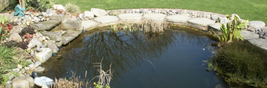 Garden Ponds & Pools